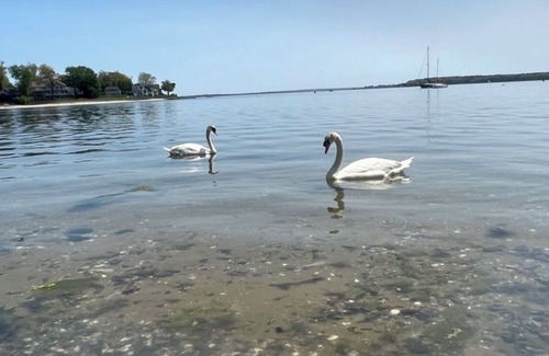 Warwick Apartamento | Waterfront 2-bedroom apartment in Beach Cottage with WiFi, AC Central RI Locale