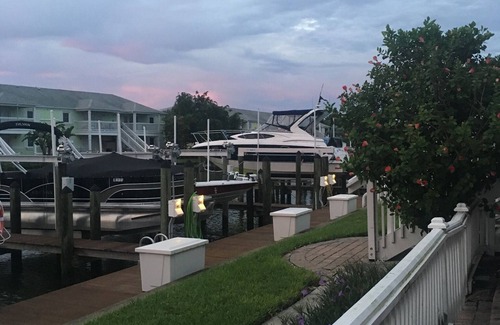 Coquina Key Condominio | Fechas de otoño disponibles. ¡Sol, delfines y puestas de sol perfectas!