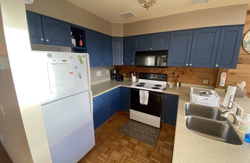 Pittsville Cabina | Waterfront Cabin on Leesville Lake!