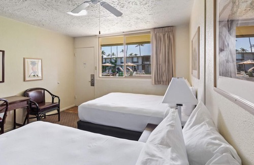 Kahului Hotel | Waterfront Perfection! 3 Fantastic Rooms, Pet-Friendly, Near Kanaha Beach Park