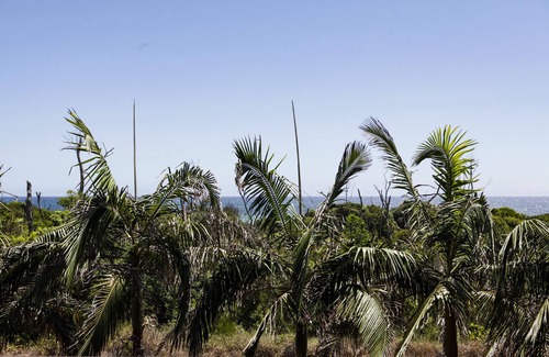 Byron Bay Villa | Waves Everyday: vista sin obstáculos a la hermosa playa de Belongil