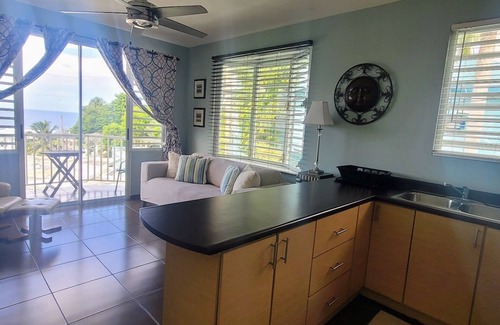 Puntas Apartamento | WaveView - Rincon Apartment Rentals: (The Evon) Puntas 1 BR Condo w/ Ocean View