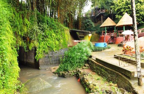Kalpetta Cama Y Desayuno | Wayanad Royal Stream