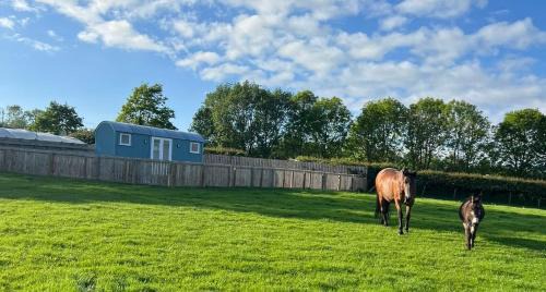 Kirkmichael Chalet De Esquí | Wee Shepherds Hut Maybole