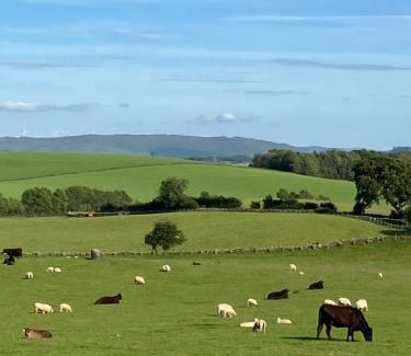 Kirkmichael Chalet De Esquí | Wee Shepherds Hut Maybole