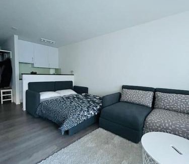 Meierhof Apartamento | WEF apartment Perla Kongress