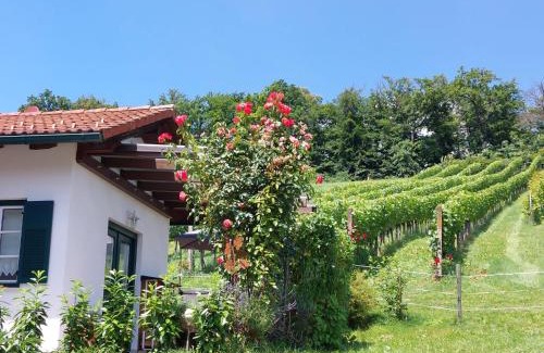 Welten Apartamento | Wein & Wohnen MATZL - Ferienwohnung