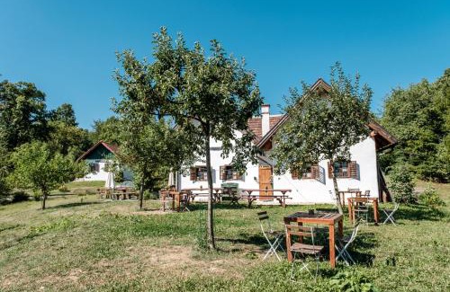 Eberau Apartamento | Weineks Kellerstöckl - Weingartenquartier