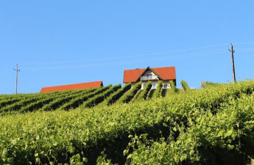 Glanz an der Weinstrasse Casa | Weingartenhaus
