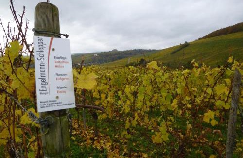 Eltville am Rhein Casa | Weingut & Gästehaus Engelmann-Schlepper