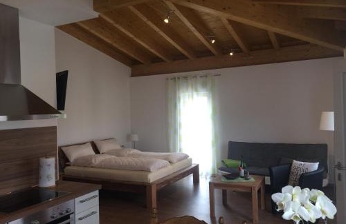 Hattenheim Apartamento | Weingut Hans Bausch