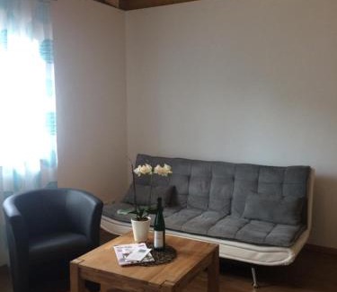 Hattenheim Apartamento | Weingut Hans Bausch