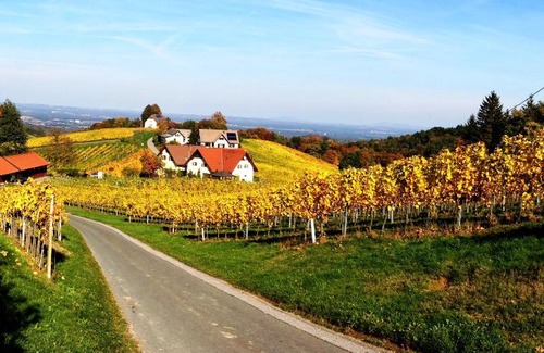 Ratsch Cama Y Desayuno | Weingut Schwarzl