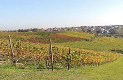 Mainz-Bingen Casa | Weingut Seck