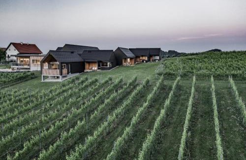 Eichberg-Trautenburg Casa | Weingut & Winzerhäuser Skringer