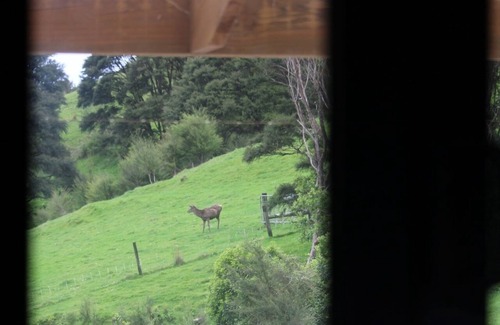 Waitaria Bay Cabina | Weka Cottage