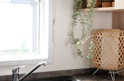 Bosgebied Hoenderloo Casa | Welcome to Beach Forest I Unwind at the Veluwe