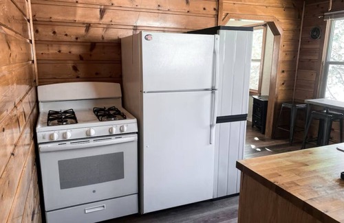 Fawnskin Cabina | Welcome to Malu! Hot Tub + Great Views!