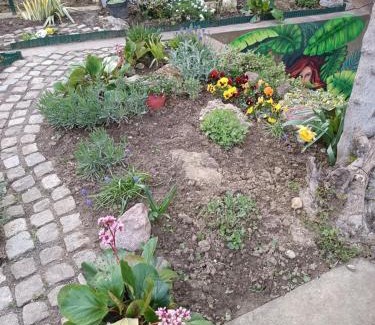 Banovo brdo Apartamento | Welcoming 1 studio apartment with terrace