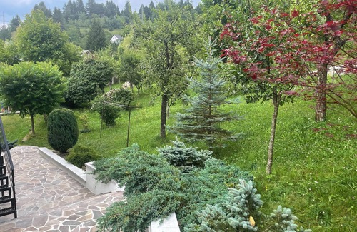 Borsa Apartamento | Welcoming 2-bedroom apartment in Băile Borșa