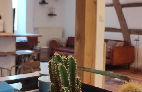 Bree Apartamento | Welcoming apartment in Bree with terrace