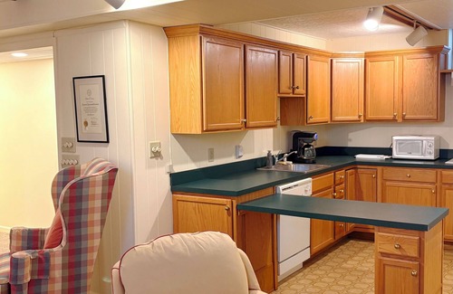 Charlottesville Apartamento | Welcoming studio with wood burning fireplace, in charming Charlottesville
