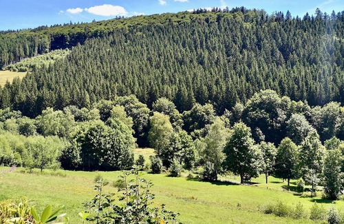 Nordenau Apartamento | Apartamento bien cuidado en Schmallenberg con parrilla