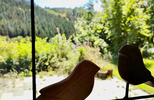 Nordenau Apartamento | Apartamento bien cuidado en Schmallenberg con parrilla