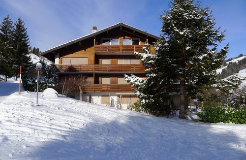 Ruedisbach Apartamento | Apartamento bien cuidado en las montañas suizas (ya sea Interlaken)