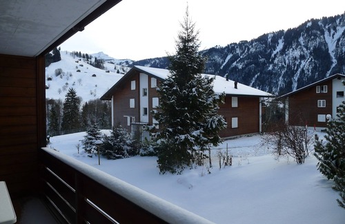 Ruedisbach Apartamento | Apartamento bien cuidado en las montañas suizas (ya sea Interlaken)