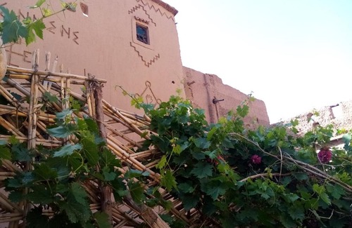 Aremd Casa | Wellcome to tamnougalt tilleli
