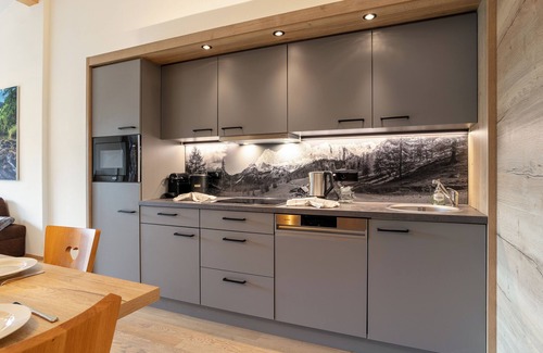 Haus im Ennstal Apartamento | Wellness apartment with a SW-balcony