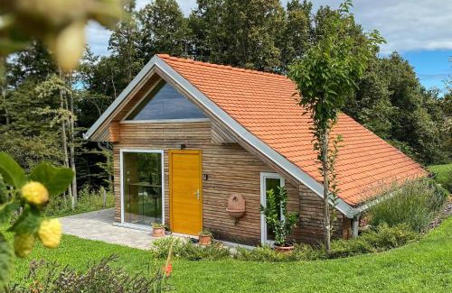 Ljutomer Apartamento | Wellness hiška Robida