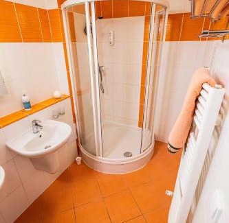 Frymburk Apartamento | WELLNESS HOTEL FRYMBURK APARTMAN 502C
