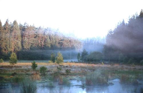 Wetter Casa | Wellness und Wander Oase Burgwald