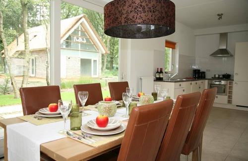 Ruinen Villa | Villa con techo de paja cerca de Hoogeveen