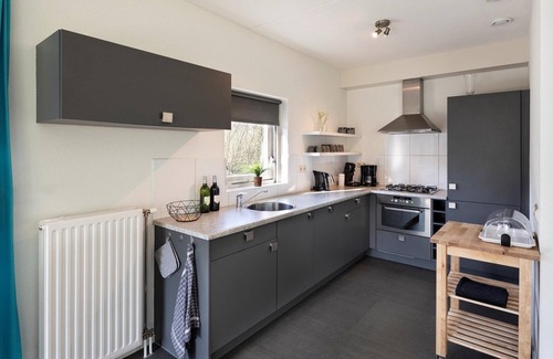 Ruinen Villa | Villa con techo de paja cerca de Hoogeveen