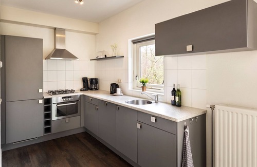 Ruinen Villa | Villa con techo de paja cerca de Hoogeveen