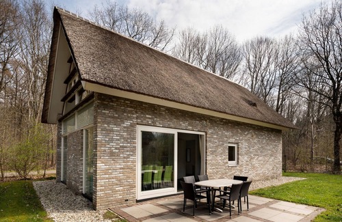 Ruinen Villa | Villa con techo de paja cerca de Hoogeveen