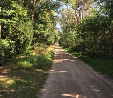 Municipality of Epe Apartamento | Wendrik Hoeve Bed & Stables