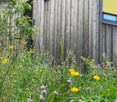Eidsvoll Casa | Wergelandshaugen - 10 Minutes From Oslo Airport - Sauna - Cafe - Sculpture park