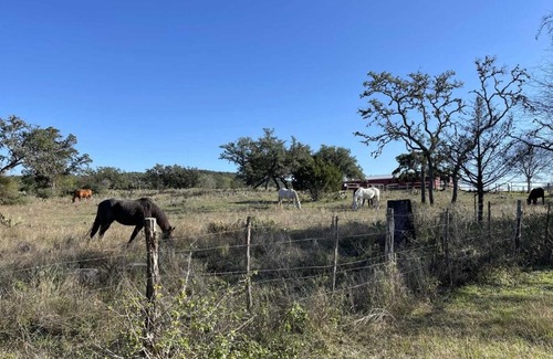 Bandera Casa | West 1077 Guest Ranch - Buckeye Room 3