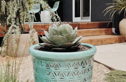 Chico Casa | West Park House | Relaxing Park Life