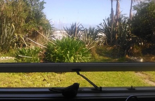 Hector Casa | Westcoast Blue Penguin Bach - Ki Ki Bach clásico frente a la playa