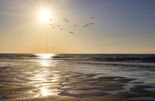 Vlissingen Cama Y Desayuno | Westerschelde B&B