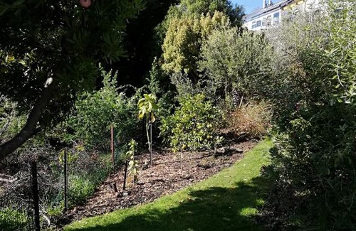 Christchurch Cama Y Desayuno | Whaka Heights