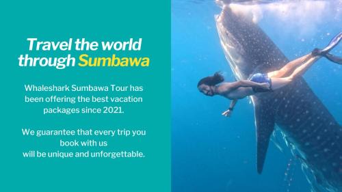 Sumbawa Besar Otro | Whale shark Sumbawa Tour