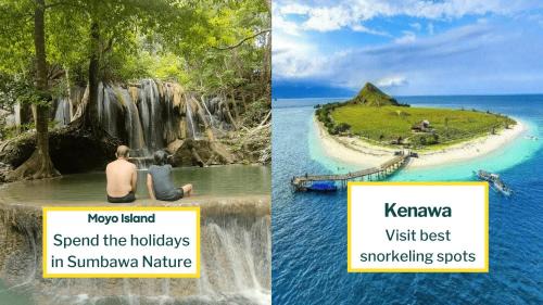 Sumbawa Besar Otro | Whale shark Sumbawa Tour