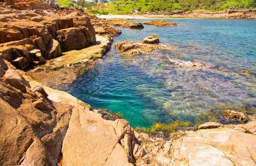 Fishermans Bay Apartamento | Whale Studio Suite