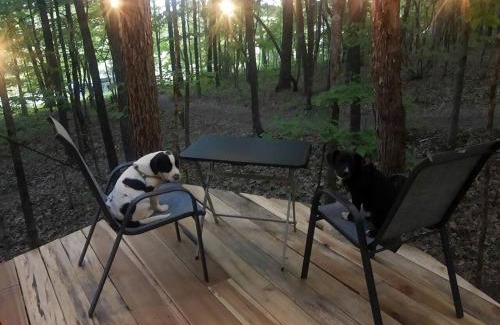 Grandview Otro | Whimsical Forest Safari Tent Haven Near Laurel Creek, Tennessee